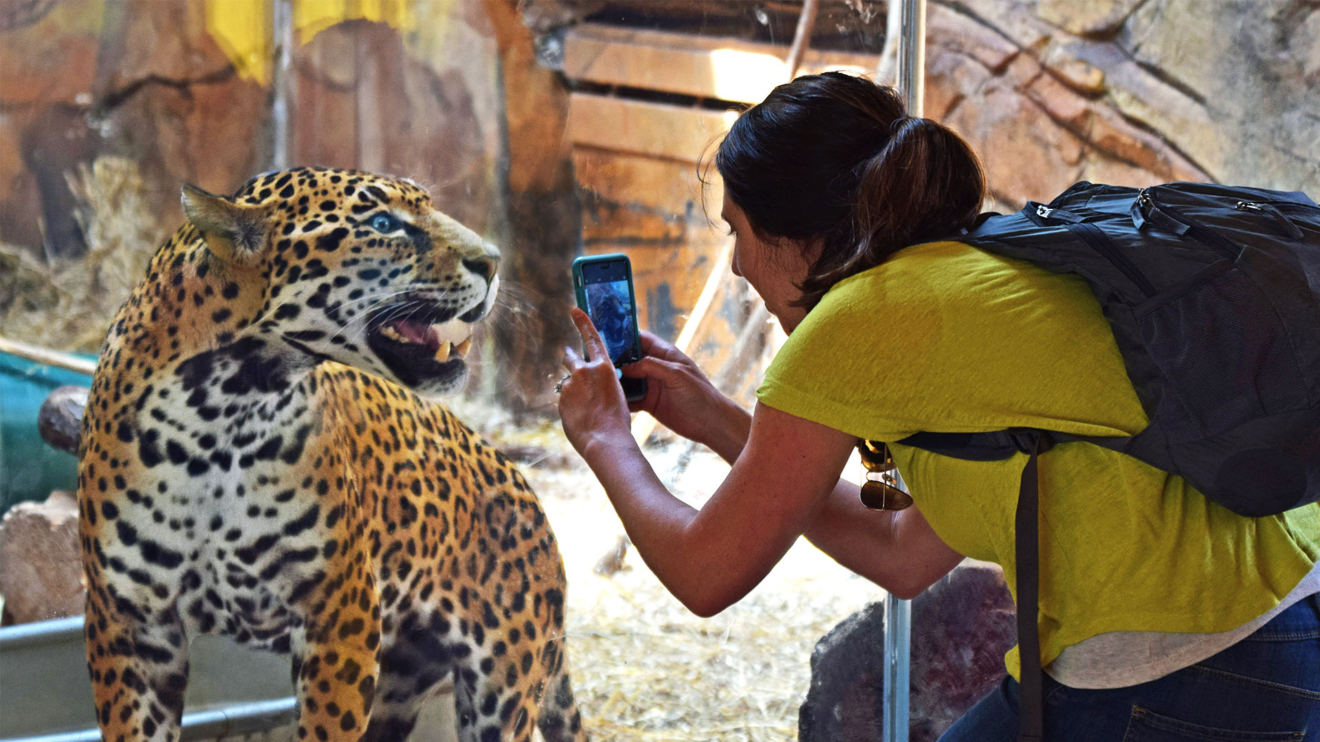 It's going to be a #SunnySunday!☀️ We - Elmwood Park Zoo