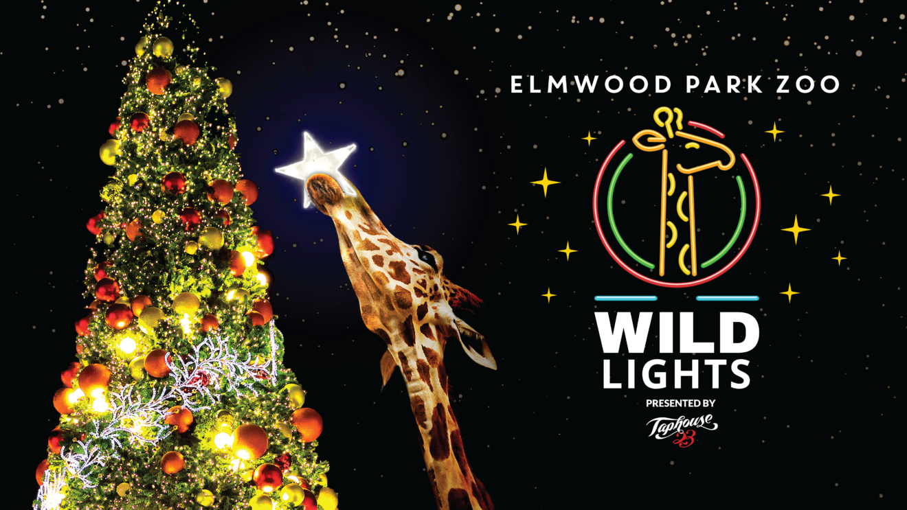 Wild Lights - Elmwood Park Zoo