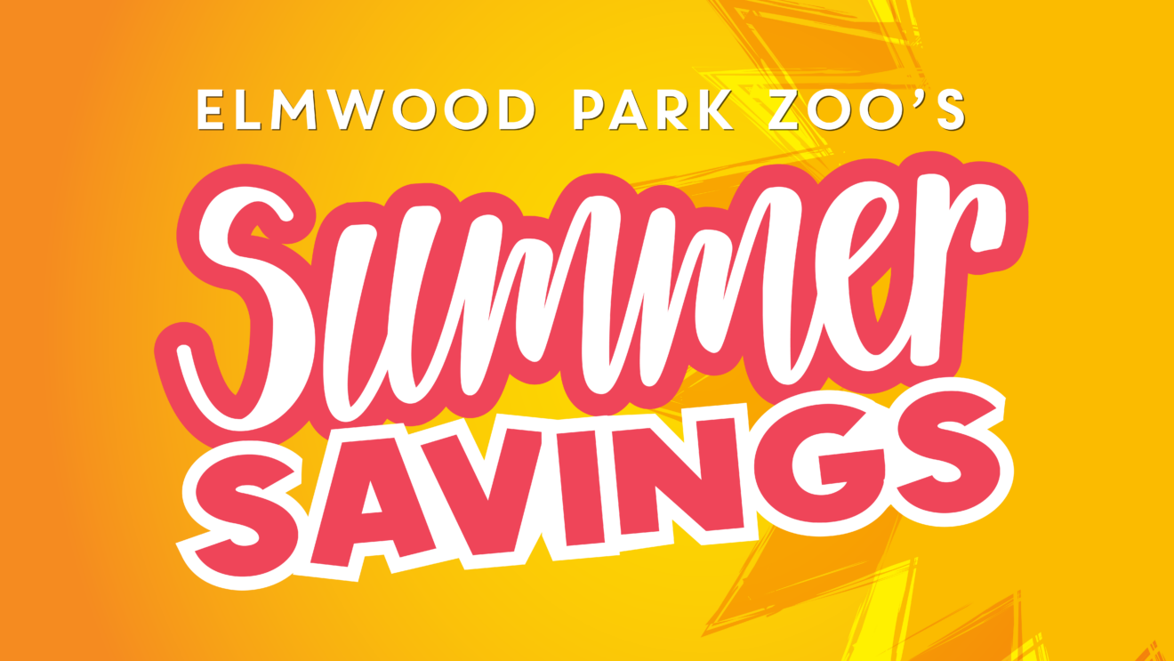 Visit Elmwood Park Zoo