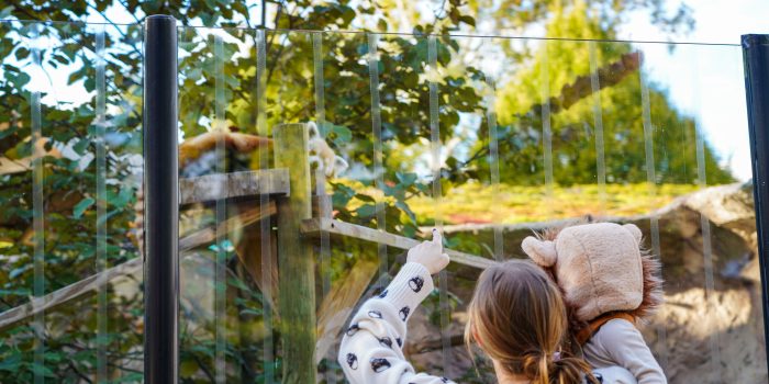 Boo Just For You-15 (1)