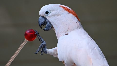 John-Sally.target-04